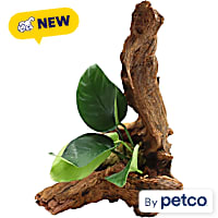 Imagitarium Anubias on Driftwood
