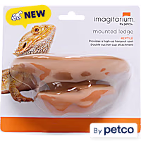 Imagitarium Elevated Mounted Ledge for Reptile Habitats
