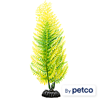 Imagitarium Fern Midground Plastic Aquarium Plant