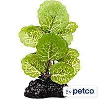 Imagitarium Betta Plant