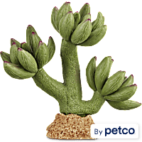 Imagitarium Pink Tipped Cactus Reptile Decor