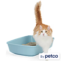 So Phresh Odor Control Litter Box