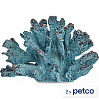 Imagitarium Star Coral Aquatic Decor