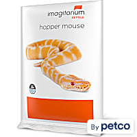 Imagitarium Frozen Hopper Mouse