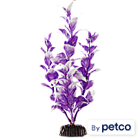 Imagitarium Purple & White Midground Ludwigia Aquarium Plant