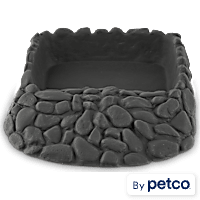 Imagitarium Reptile Ramp Bowl
