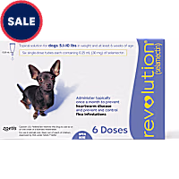 Revolution Topical Solution for Dogs 5.1-10 lbs