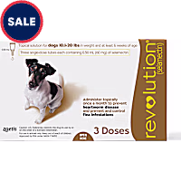 Revolution Topical Solution for Dogs 10.1-20 lbs