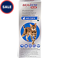 Bravecto Plus Topical Solution for Cats Greater Than 6.2-13.8 lbs