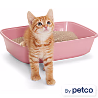 So Phresh Open Kitten Litter Box