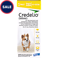 Credelio Chewable Tablet for Dogs 4.4-6 lbs
