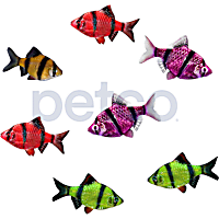 7-Pack GloFish Tiger Barb