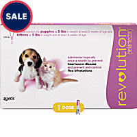 Revolution Topical Solution for Puppies and Kittens up to 5lbs