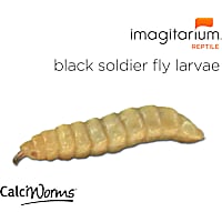 CalciWorms (Hermeia illucens)