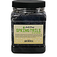 Springtail Culture