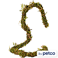 Design a Vine