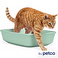 So Phresh Open Cat Litter Box