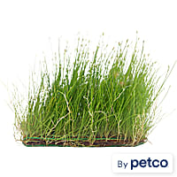 Grass Mat