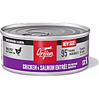 ORIJEN Premium Pate in Bone Broth Chicken & Salmon Entree Wet Kitten Cat Food