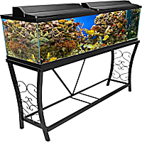 Aquatic Fundamentals Black Scroll Aquarium Stand, 55 Gallons