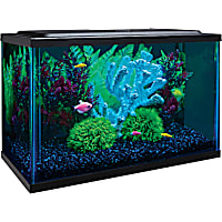 GloFish Aquarium Kit 5 Gallons Includes LED Lighting and Filter