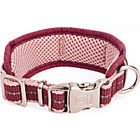 Reddy Stripe Dog Collar
