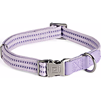 Reddy Webbed Dog Collar