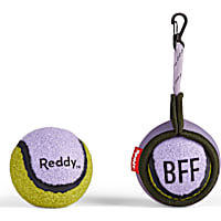 Reddy Lilac On-the Go Ball with Holder Dog Toy