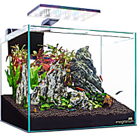 Imagitarium Glass Shrimp & Aquatic Plants Aquarium