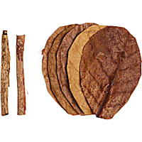 Imagitarium Catappa Leaves and Bark