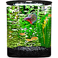 Imagitarium Plastic Cylinder Betta Aquarium