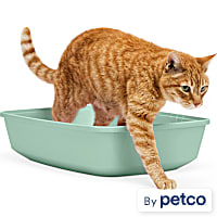 So Phresh Open Cat Litter Box