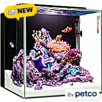 Imagitarium Cube Glass Aquarium Kit with Lighting, Filtration & Accessories
