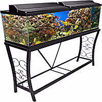 Aquatic Fundamentals Black Scroll Aquarium Stand, 55 Gallons