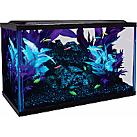 GloFish Aquarium Kit 10 Gallons Includes LED Lighting and Filter