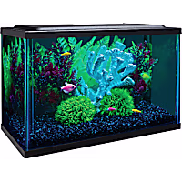 GloFish Aquarium Kit 5 Gallons Includes LED Lighting and Filter