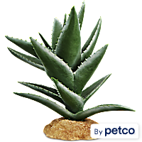 Imagitarium Aloe Plant Reptile Decor