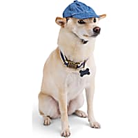 Reddy Washed Twill Dog Hat