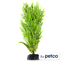Imagitarium Green Hairgrass Midground Plastic Aquarium Plant