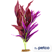 Imagitarium Purple Leaf Silk Plant