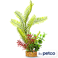 Imagitarium Yellow Frond Aquarium Plant with Green and Red Accents