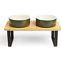 Reddy Green Elevated Double Diner Dog Bowl