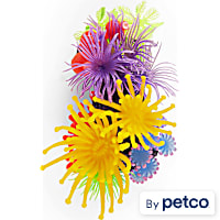 Imagitarium Coral with Silicone
