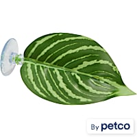 Imagitarium Single Leaf Betta Perch