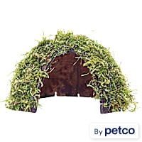 Coco Hide w/ Java Moss