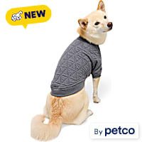 Reddy Textured Pet Crewneck