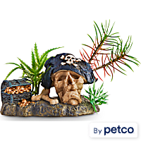 Imagitarium Pirate Skull with Plant Aquatic Decor