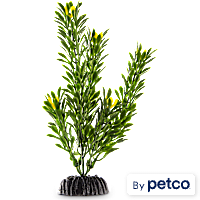 Imagitarium Green Foreground Aquarium Plant