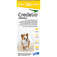 Credelio Chewable Tablet for Dogs 4.4-6 lbs