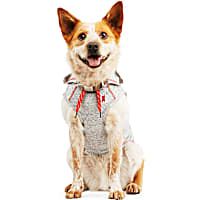 Reddy Grey Hooded Tank for Dogs